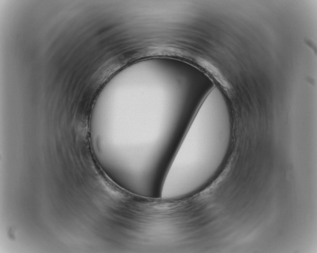 X0000095900841200801110803