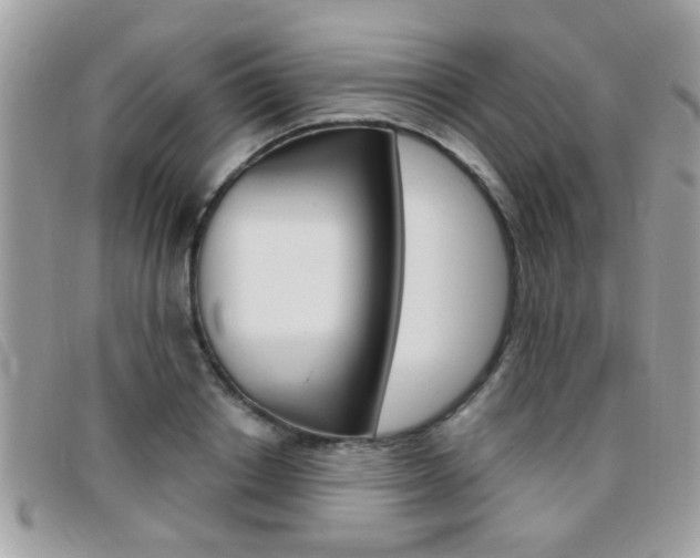 X0000095900842200801110803