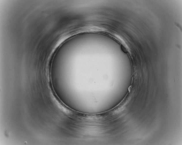 X0000095900843200801110803