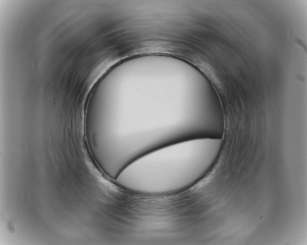 X0000095900844200801110803