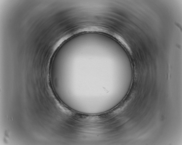X0000095900845200801110803