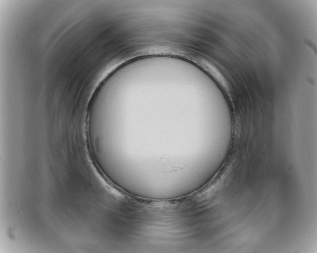 X0000095900847200801110803