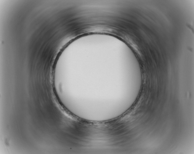 X0000095900848200801110803