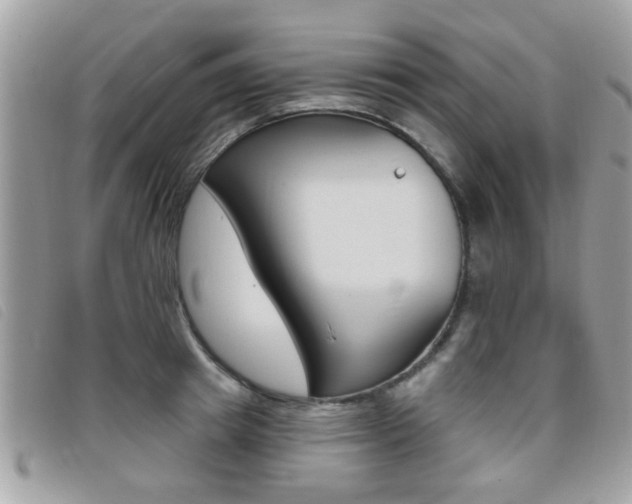 X0000095900849200801110803