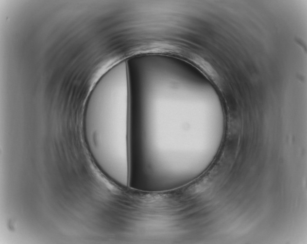 X0000095900850200801110803