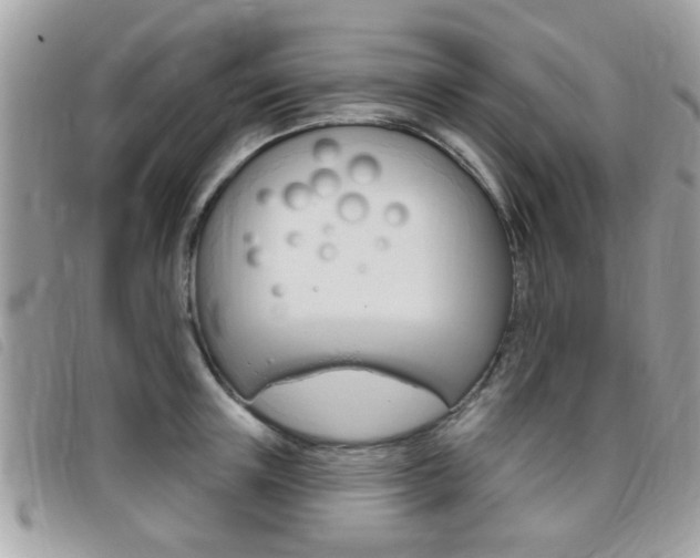 X0000095900851200801110803