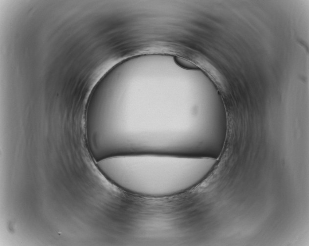 X0000095900852200801110803