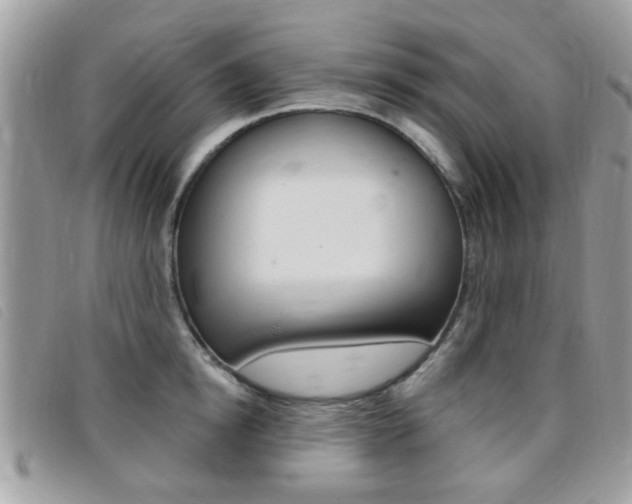 X0000095900854200801110803