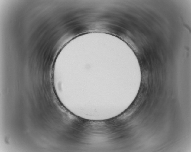 X0000095900856200801110803