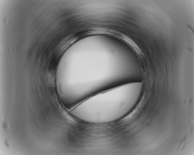 X0000095900857200801110803