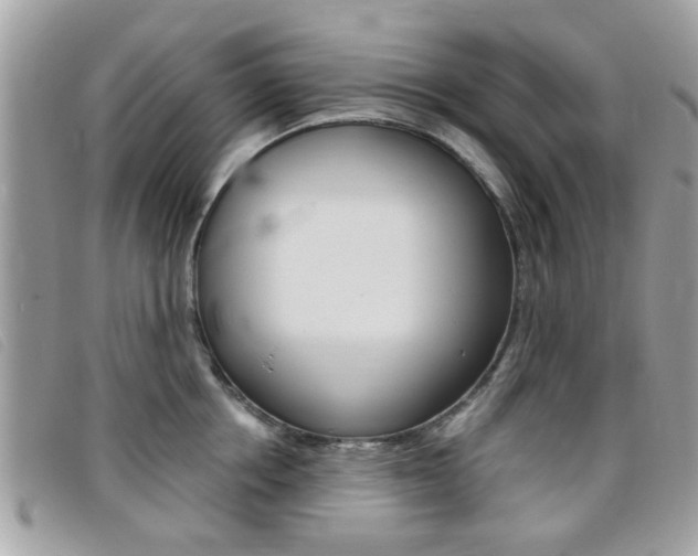 X0000095900858200801110803