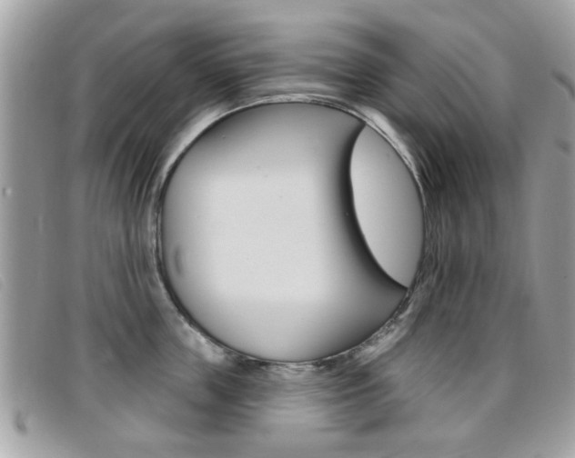 X0000095900859200801110803