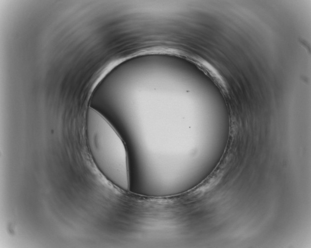 X0000095900860200801110803