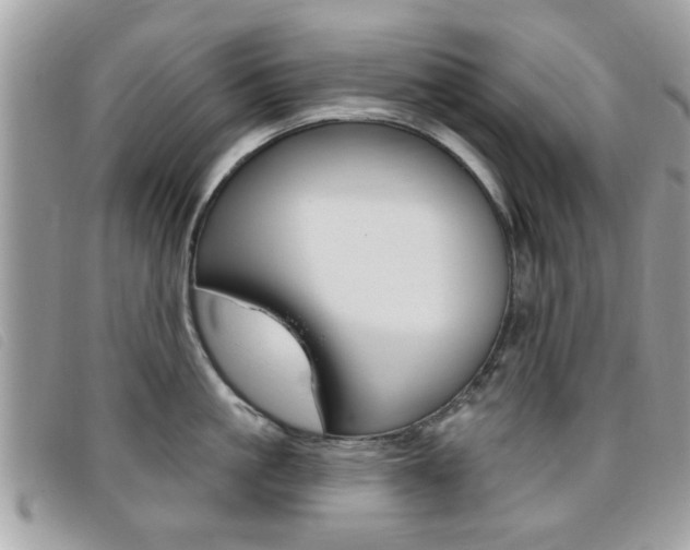 X0000095900861200801110803