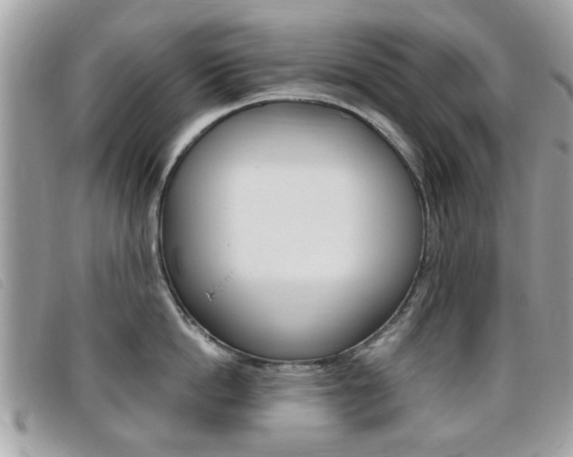 X0000095900862200801110803