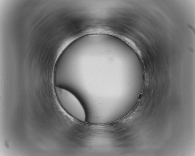 X0000095900863200801110803