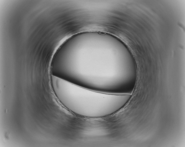 X0000095900864200801110803