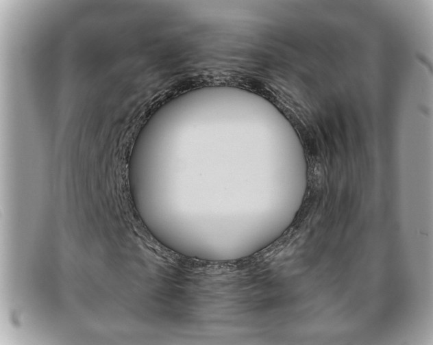 X0000095900865200801110802