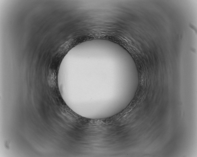 X0000095900866200801110802