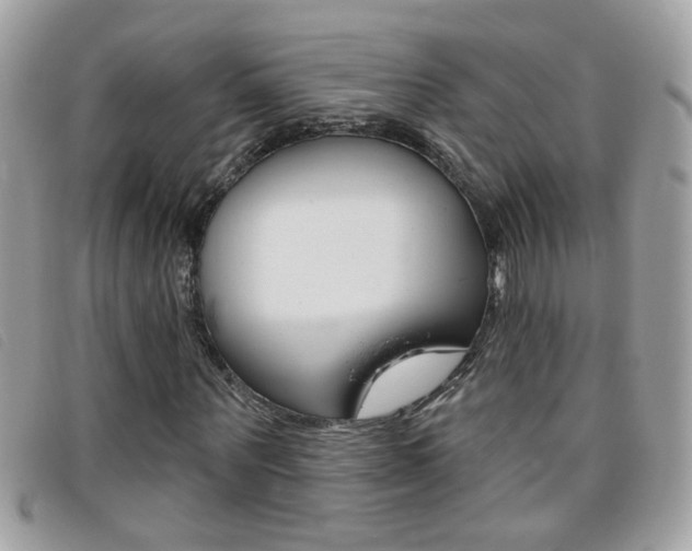 X0000095900867200801110802