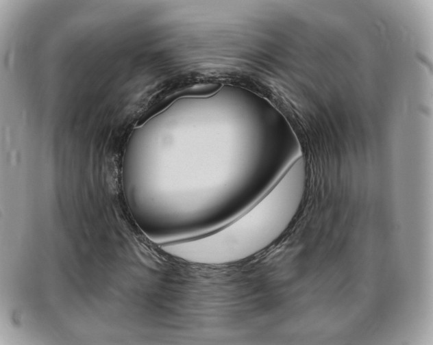 X0000095900868200801110802