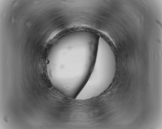 X0000095900871200801110802