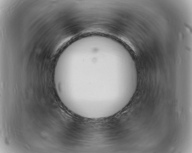 X0000095900872200801110802
