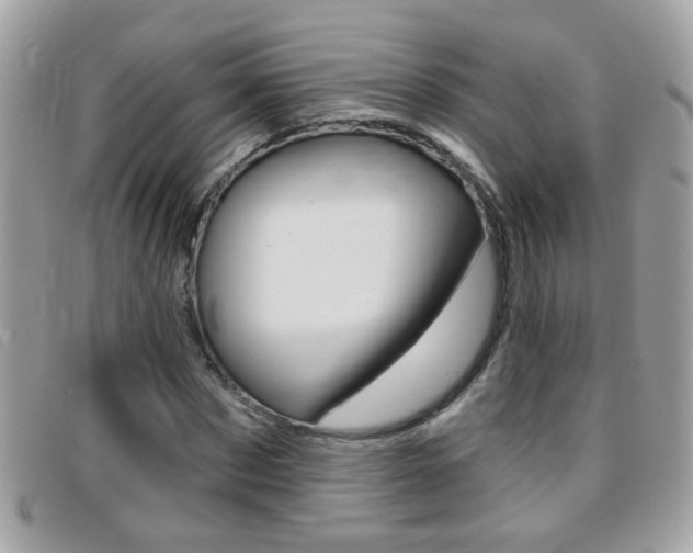 X0000095900873200801110802