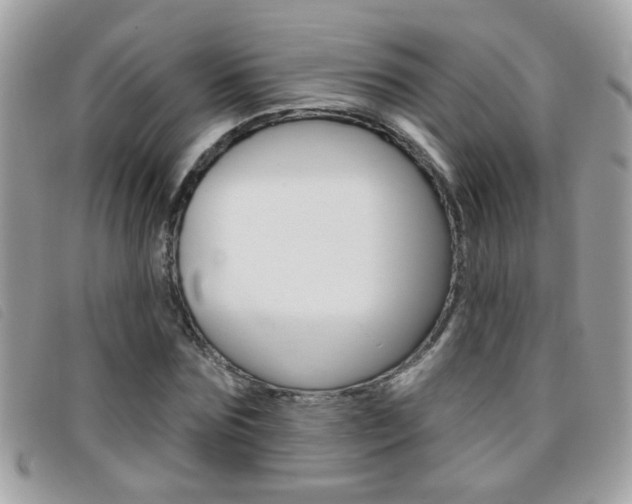 X0000095900875200801110802