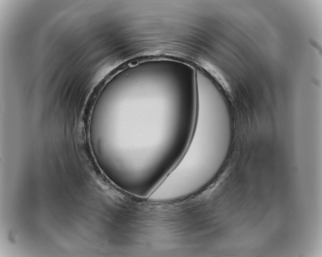 X0000095900876200801110802