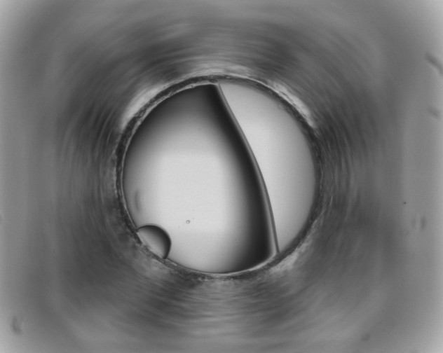 X0000095900877200801110802