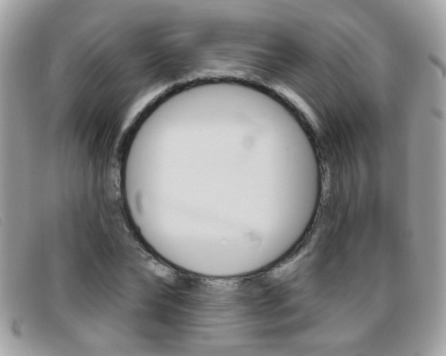 X0000095900878200801110802