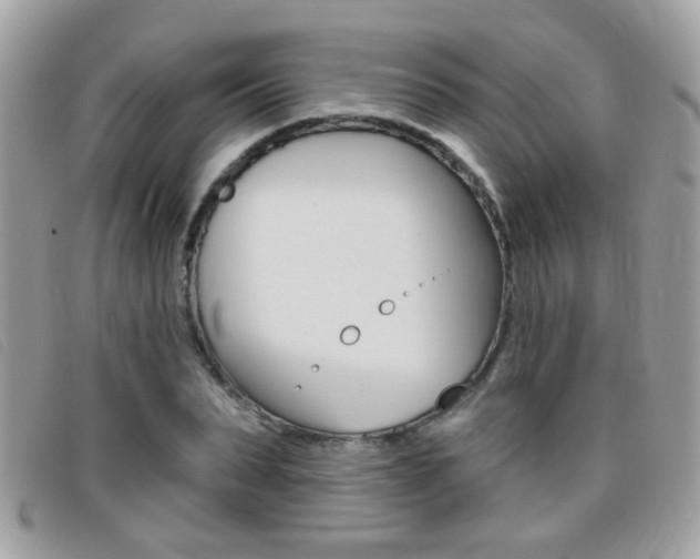 X0000095900879200801110802