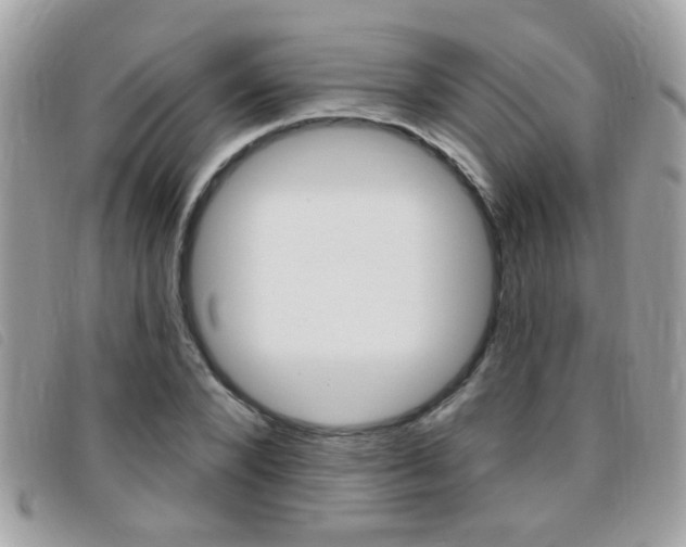 X0000095900880200801110802