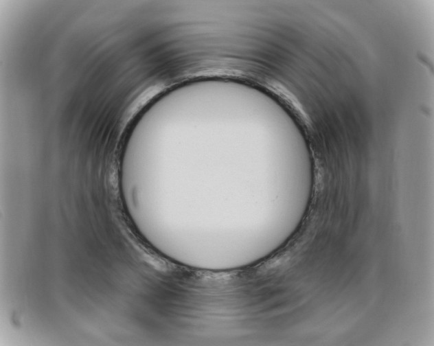 X0000095900882200801110802