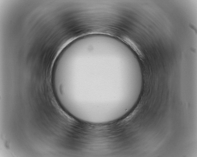 X0000095900884200801110802