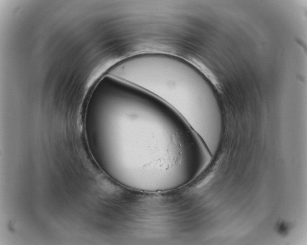 X0000095900885200801110802