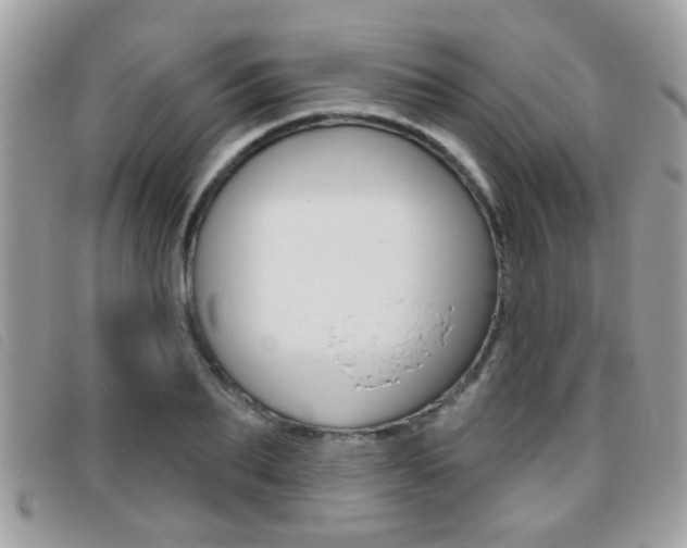 X0000095900887200801110802