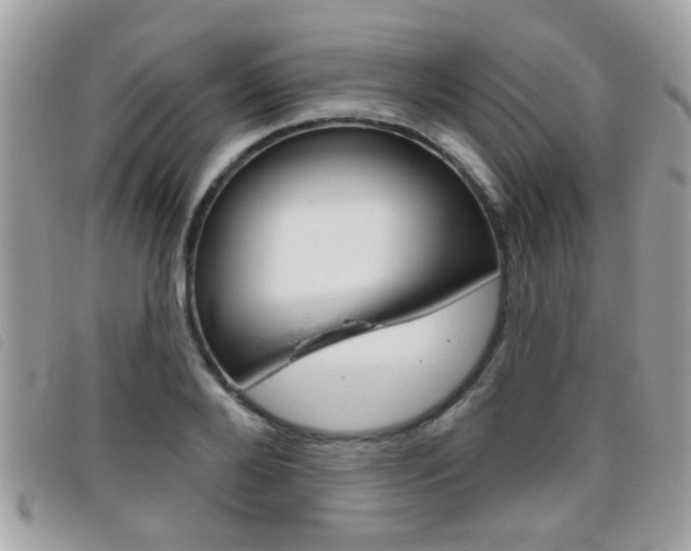 X0000095900888200801110802