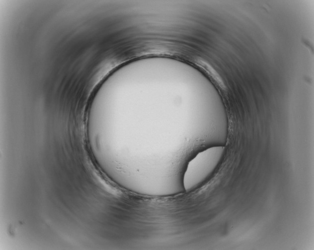 X0000095900890200801110802