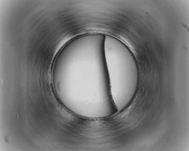 X0000095900891200801110802