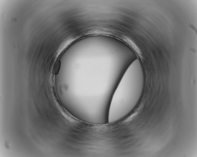 X0000095900893200801110802