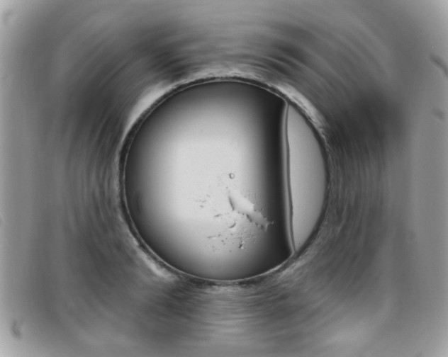 X0000095900894200801110802
