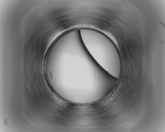 X0000095900895200801110802