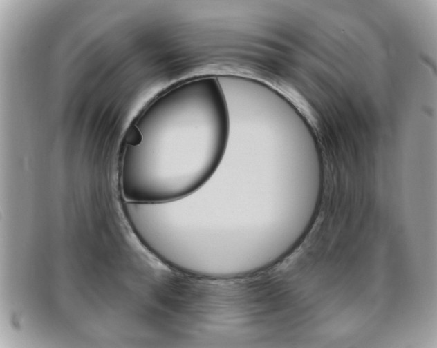 X0000095900896200801110802