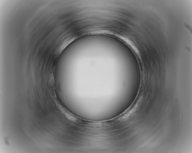 X0000095900897200801110802