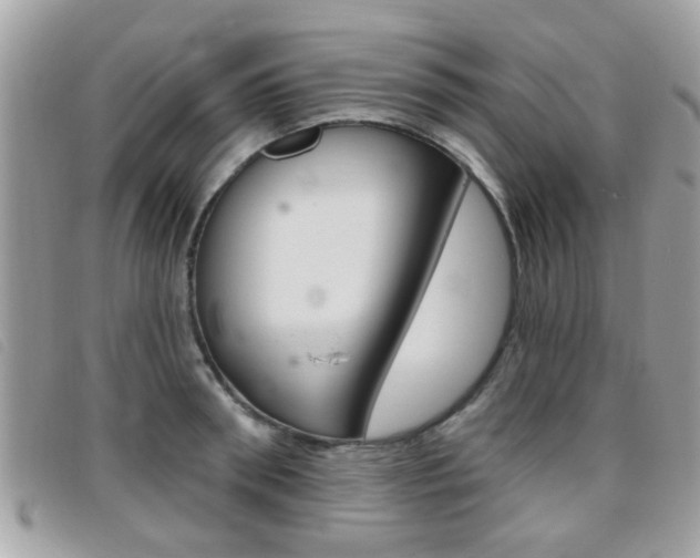 X0000095900898200801110802