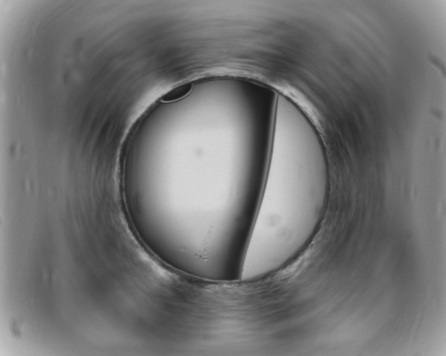 X0000095900902200801110802