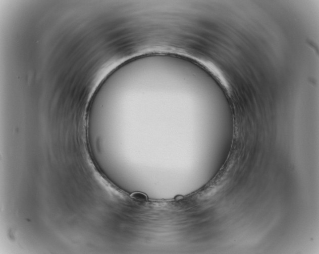 X0000095900903200801110802
