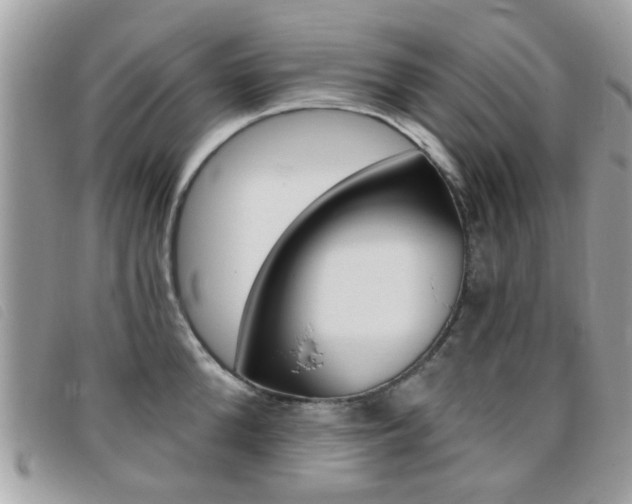 X0000095900904200801110802